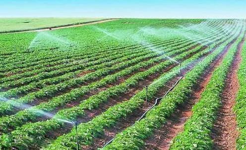 屌肏屄网农田高 效节水灌溉